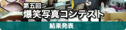 第五回爆笑写真コンテスト
