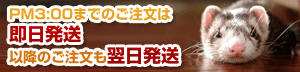 即日発送