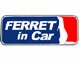 FERRET IN CAR���ƥå���